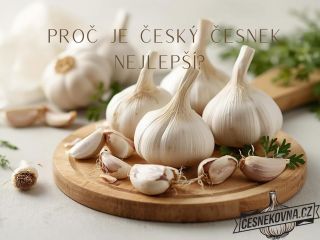 Proč volit český česnek? Český česnek je čerstvý, voňavý a plný vitamínů. Pěstovaný s péčí našimi farmáři, přináší kvalitu...