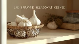 Jak skladovat česnek, aby vydržel co nejdéle? Správné podmínky jsou klíčem k tomu, aby zůstal čerstvý, voňavý a plný chuti...